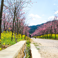 磨盘山国家森林公园