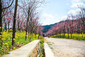 磨盘山国家森林公园