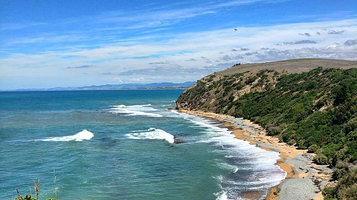 黄眼企鹅登陆地