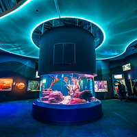 加拿大里普利水族馆