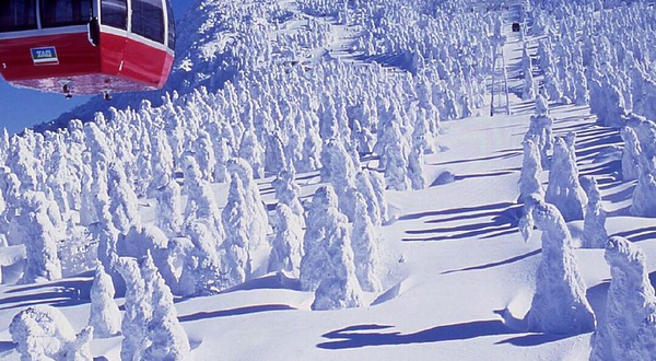 藏王温泉滑雪场