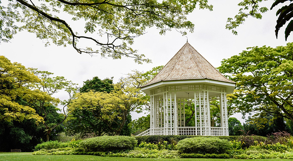 新加坡植物园