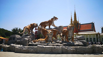 五虎岛陆地游乐园