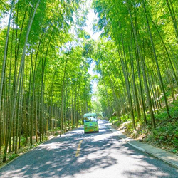 宜兴竹海风景区