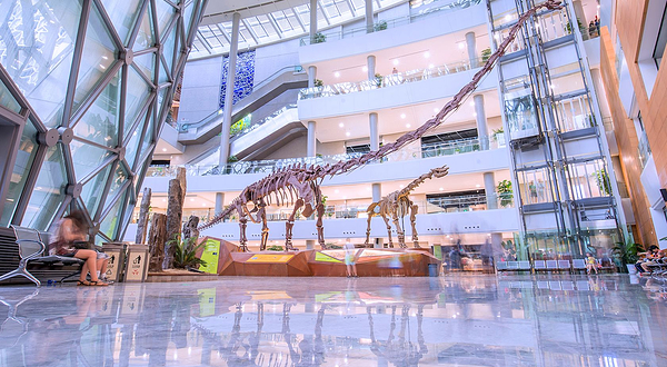 上海自然博物馆