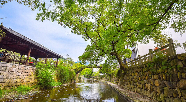 香榧森林公园