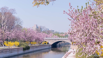 元大都城垣遗址公园