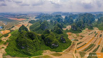 白头叶猴生态旅游区