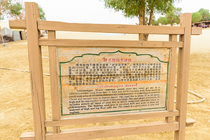 塔克拉玛干沙漠