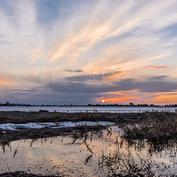 乌伦古湖国家湿地公园