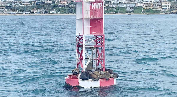 David's Locker观鲸和钓鱼