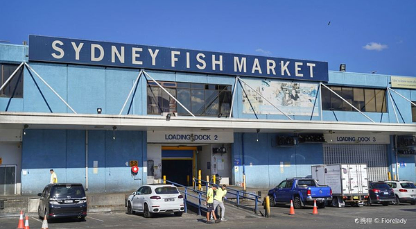 悉尼鱼市场