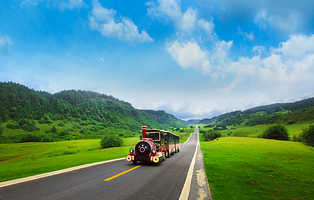 仙女山国家森林公园