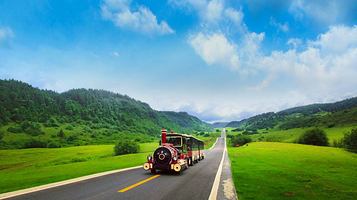 重庆 ·  仙女山国际露营音乐节