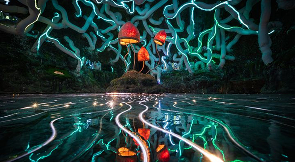 “唤醒老虎”游乐场沉浸式体验