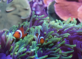 塞维利亚水族馆