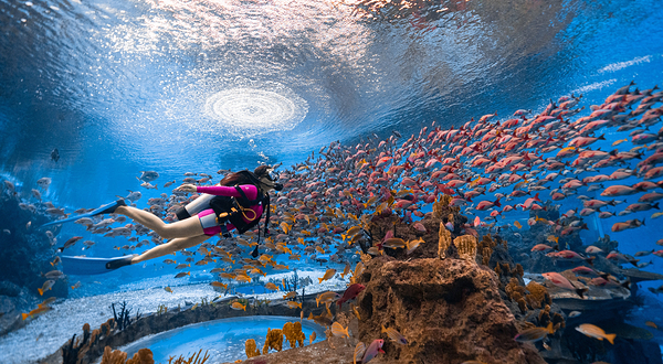 海洋欢乐世界潜水中心