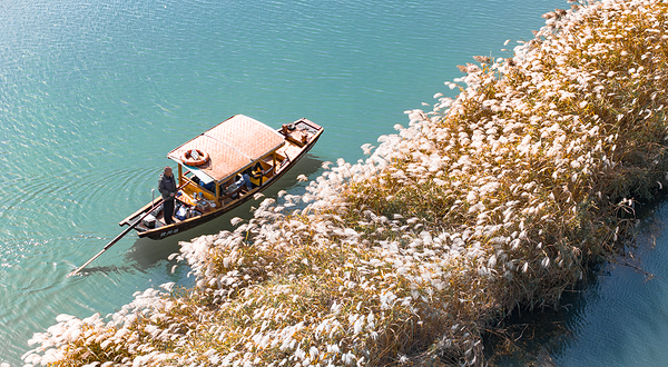 西溪国家湿地公园