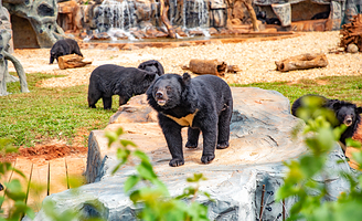 海南热带野生动植物园
