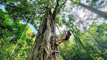 基诺达娘雨林探秘景区