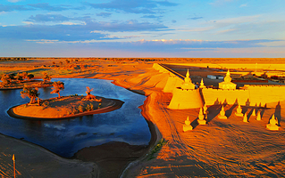 黑城弱水胡杨风景区