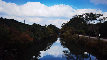 上海市嘉朱生态桂花园