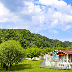 大水川
