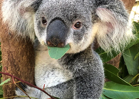 热带雨林自然公园