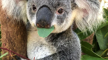 热带雨林自然公园
