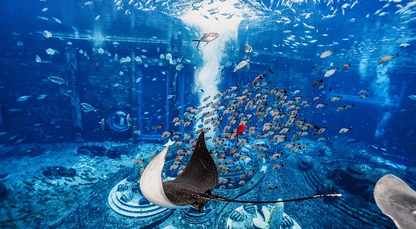 三亚亚特兰蒂斯失落的空间水族馆