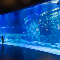 河内乐天世界水族馆