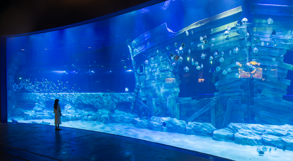 河内乐天世界水族馆