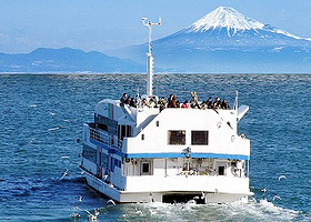 富士山清水港游船