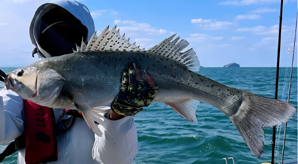 头号玩家连云港国际海钓俱乐部