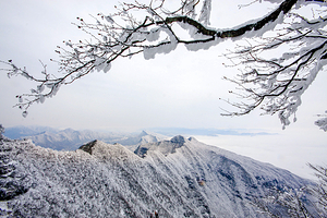 米仓山国家森林公园