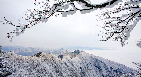 米仓山国家森林公园