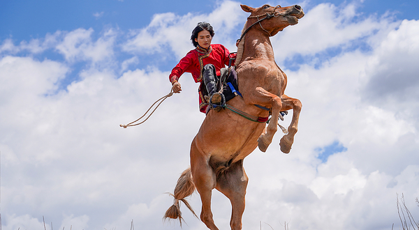丽江雪山猎鹰谷景区