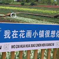 羊昌花画小镇