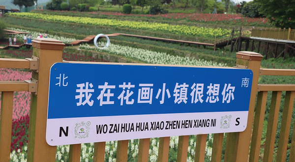 羊昌花画小镇