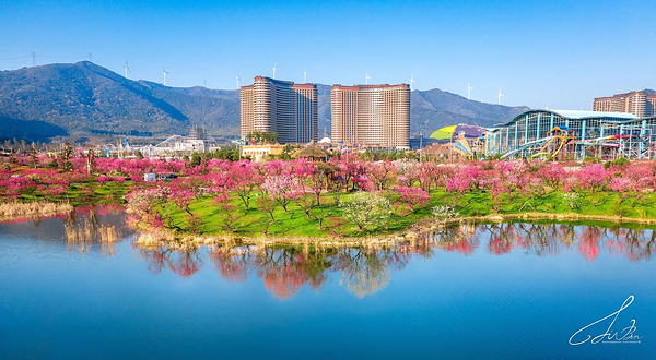 龙之梦东方盆景园