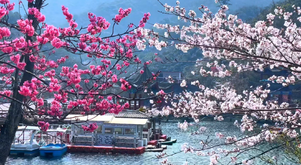 阳明山国家森林公园