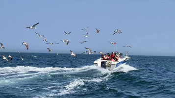 凉水湾游船体验中心