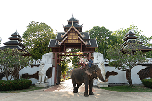 泰国芭堤雅文化大象村