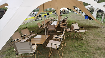 凤凰洲市民公园云上花海