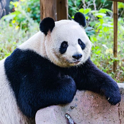 安吉竹博园