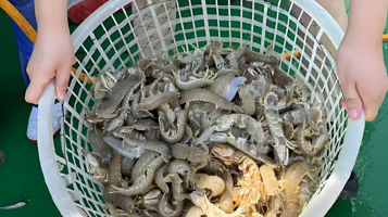 头号玩家唐山出海捕鱼观光体验中心