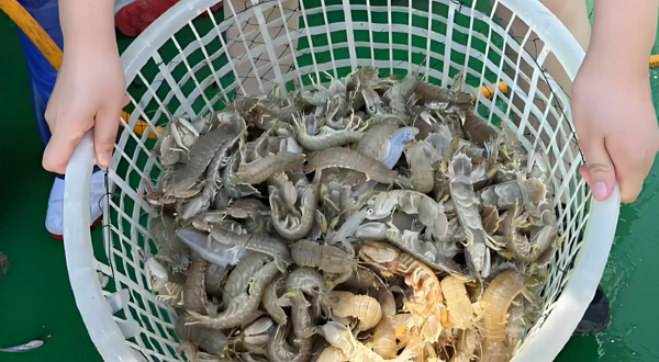 头号玩家唐山出海捕鱼观光体验中心