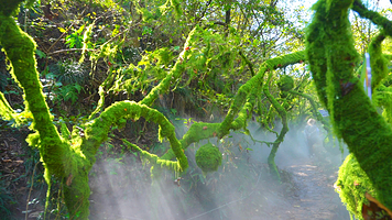 蕲春大峡谷漂流