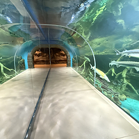 乌鲁木齐海洋馆