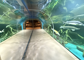 乌鲁木齐海洋馆